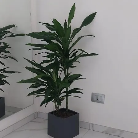 Apartament Marble Como